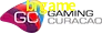 Gaming License